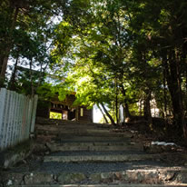 参道を上ると随神門が見えてきます。