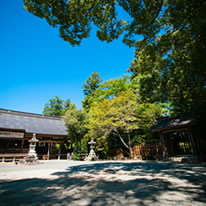 境内は数十年の歳月をかけ、山を削って平らにされました。このためすぐ下は岩盤になっています。